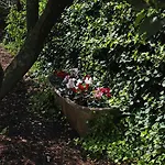 La Piccola