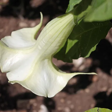 Bed & Breakfast La Piccola Modica