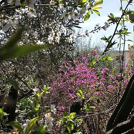 Bed and breakfast La Piccola