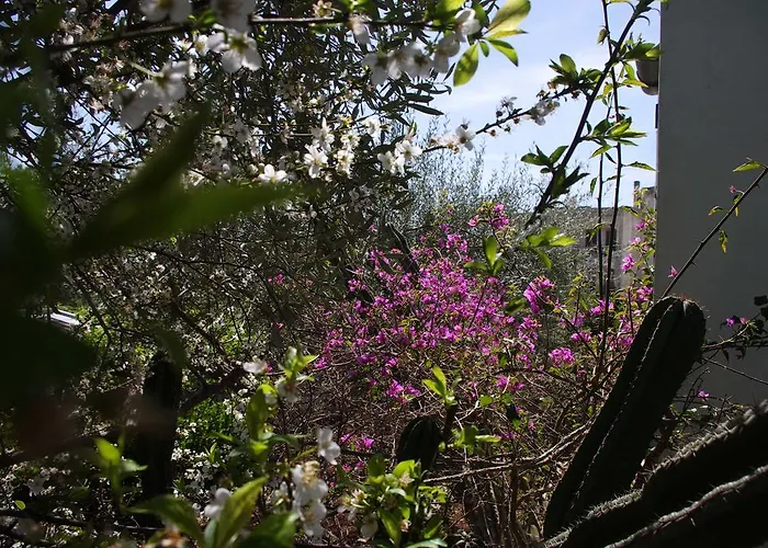 La Piccola Modica
